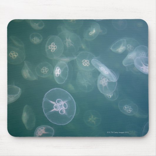 Moon jellyfish muismat (Voorkant)