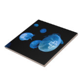 Moon jellyfish no. 4 tegeltje (Zijkant)