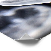 Moon Jellyfish Poster (Hoek)