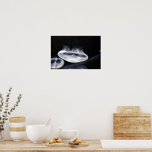 Moon Jellyfish Poster (Keuken)