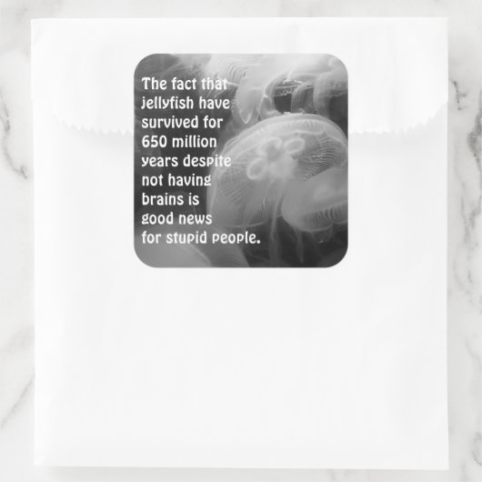 Moon Jellyfish Sticker (Tas)