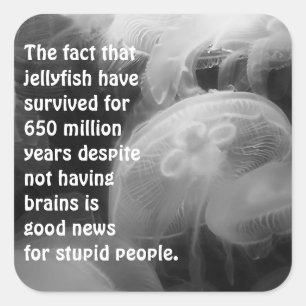 Moon Jellyfish Sticker