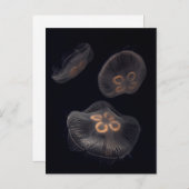 Moon Jellyfish Swimming Briefkaart (Voorkant / Achterkant)