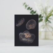 Moon Jellyfish Swimming Briefkaart (Staand voorkant)