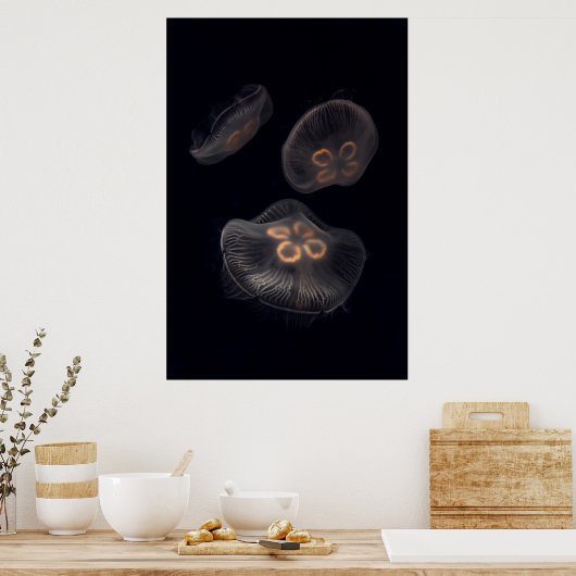 Moon Jellyfish Swimming Poster (Keuken)