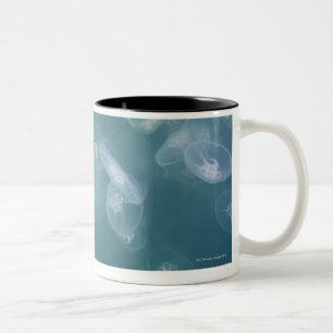 Moon jellyfish tweekleurige koffiemok