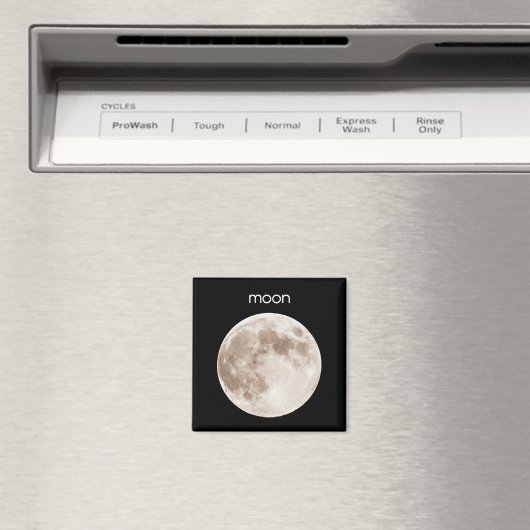 Moon koelkast Magnet (Insitu (Vaatwasser))