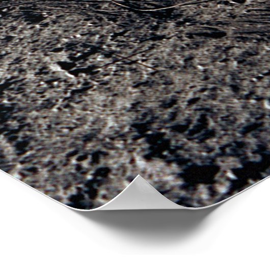 Moon Landing Irony Poster (Hoek)