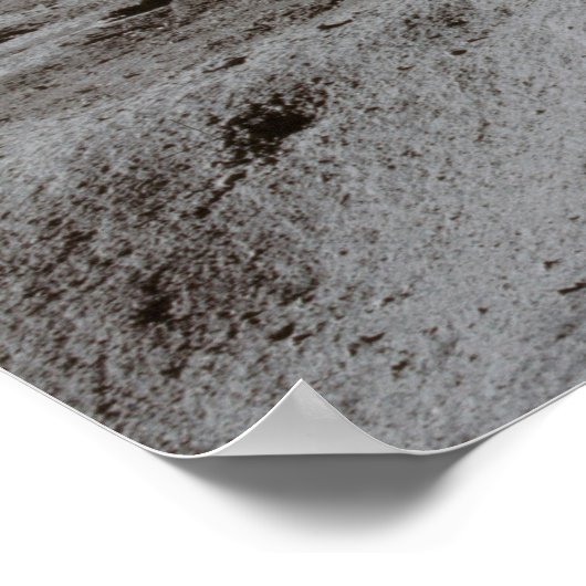 Moon Landing or is it? Poster (Hoek)