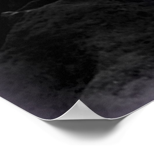 Moon Light Fairy Poster (Hoek)