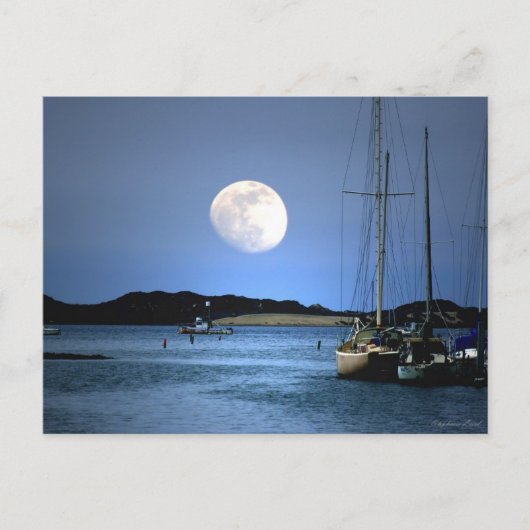 Moon Light Harbour Briefkaart (Voorkant)