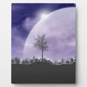 Moon Light Stars Sky Trees grillig personaliseren Fotoplaat