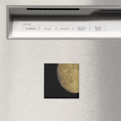 Moon Magnet (Insitu (Vaatwasser))
