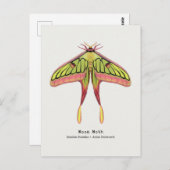 Moon moth briefkaart (Voorkant / Achterkant)