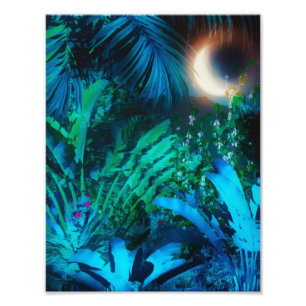 Moon Night Tropical Oerwoud blauw Foto Afdruk
