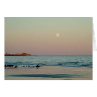 Moon Ocean Nubble Light 2007 197
