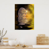 Moon op het water poster (Keuken)