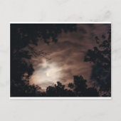 Moon over Charleston Briefkaart (Voorkant)