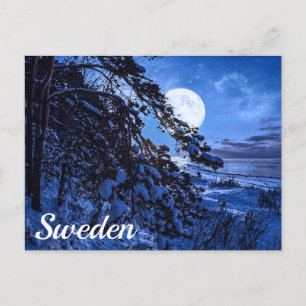 Moon over de sneeuwvloerboom en de kust van het ze briefkaart