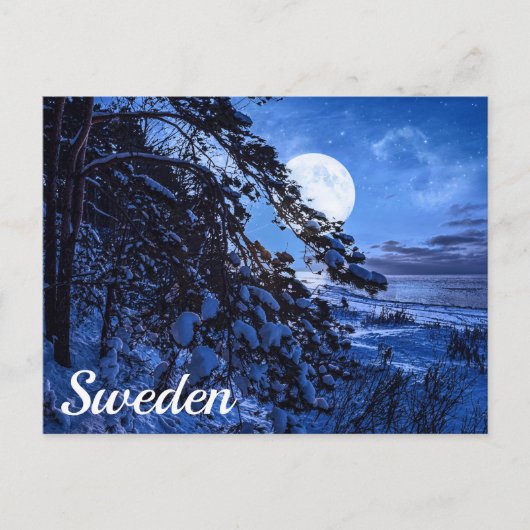 Moon over de sneeuwvloerboom en de kust van het ze briefkaart (Voorkant)