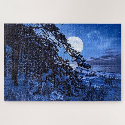 Moon over de sneeuwvloerboom en de kust van het ze legpuzzel (Horizontaal)