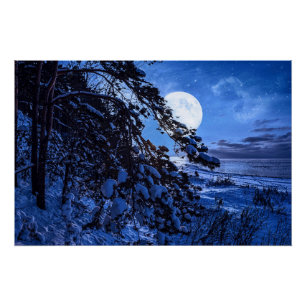 Moon over de sneeuwvloerboom en de kust van het ze perfect poster