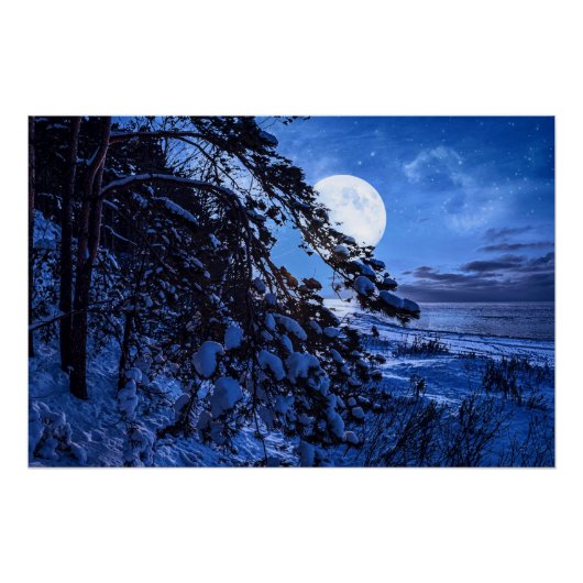 Moon over de sneeuwvloerboom en de kust van het ze perfect poster (Voorkant)