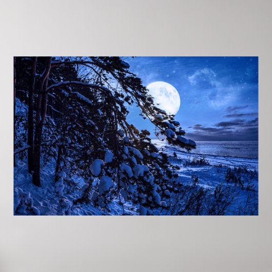 Moon over de sneeuwvloerboom en de kust van het ze poster (Voorkant)