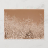 Moon Over het Witte Briefkaart (Voorkant)