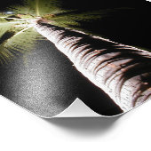 Moon Over Palm afdrukken Foto Afdruk (Hoek)