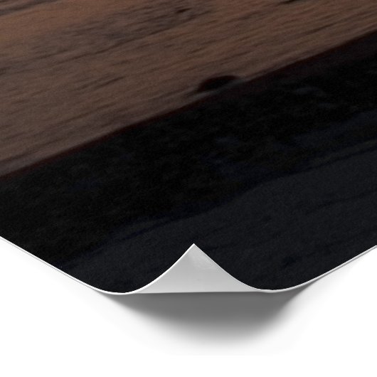 MOON PALM POSTER (Hoek)