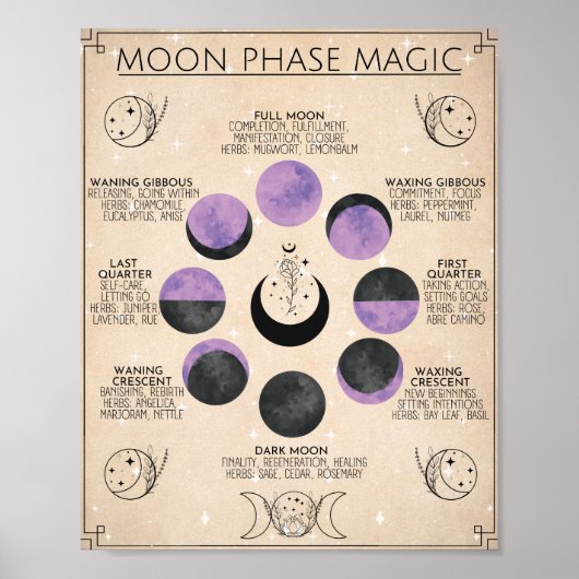 Moon Phase Art Moon Magic Poster (Voorkant)