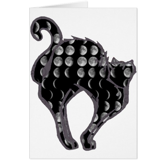 Moon Phase Kat (Voorkant)