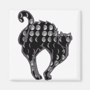 Moon Phase Kat Magneet