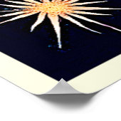 Moon Phases Crystal Cosmos Poster (Hoek)