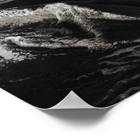 Moon Poster (Hoek)