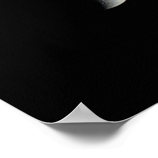 Moon Poster (Hoek)