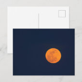 Moon Rise of the Super Moon | Savannah, Georgië Briefkaart (Voorkant / Achterkant)