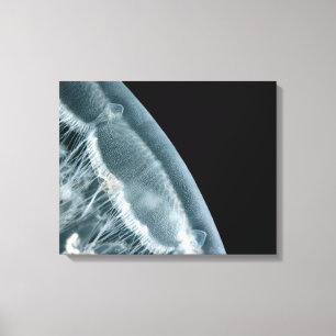 Moon Rise Wrapped Canvas Afdruk