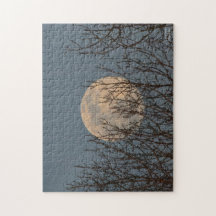 Moon Rising boven de bomen