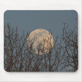 Moon Rising boven de bomen Muismat