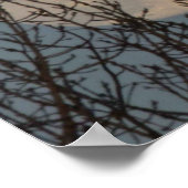 Moon Rising boven de bomen Poster (Hoek)