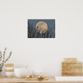 Moon Rising boven het Poster Trees (Keuken)