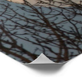 Moon Rising boven het Poster Trees (Hoek)