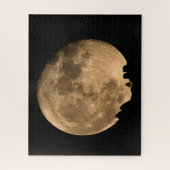 Moon Rising Over Saddlebrooke Legpuzzel (Verticaal)