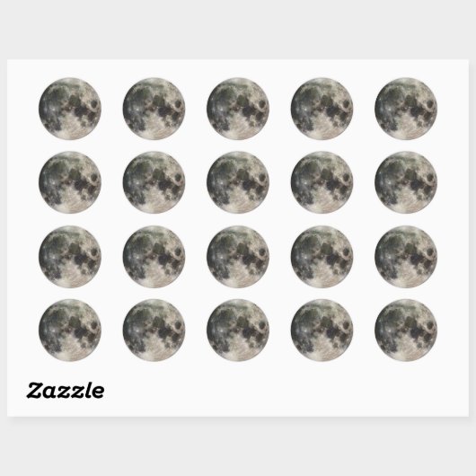 Moon Ronde Sticker (Vel)