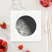 Moon Servet (Insitu)