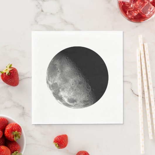 Moon Servet (Insitu)