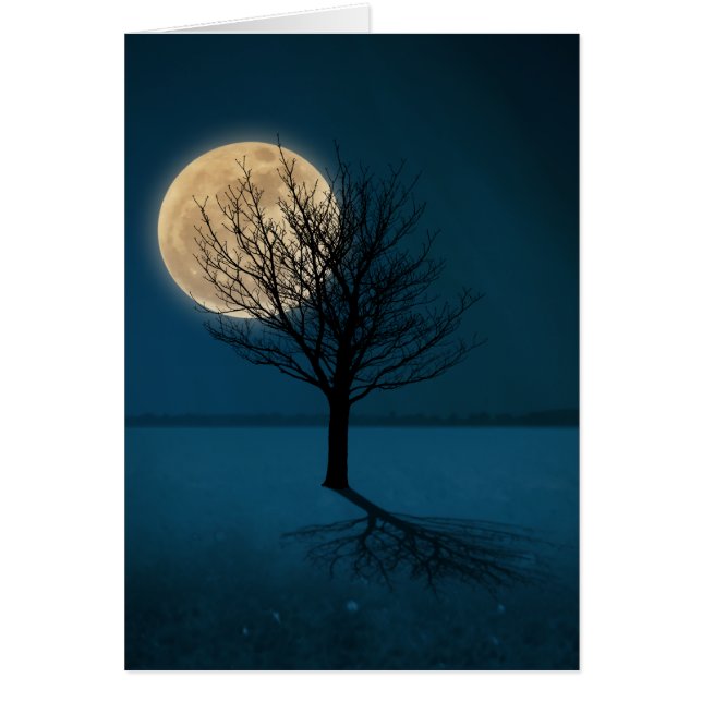 Moon Shadow (Voorkant)