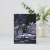 Moon Shadows Briefkaart (Staand voorkant)